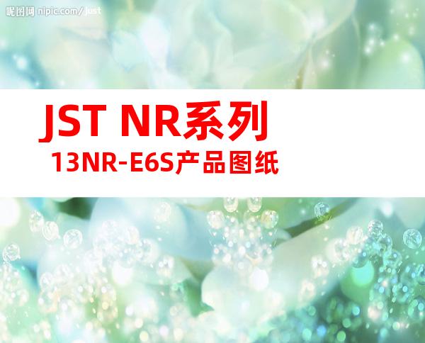 JST NR系列 13NR-E6S产品图纸